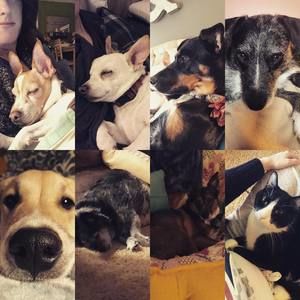 Meet your Posher, Rachel